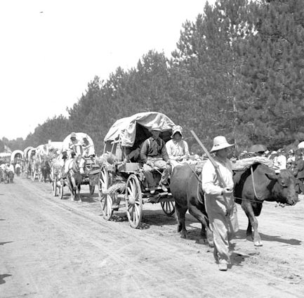 pioneer day celebrants nyt